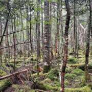 ヒメ日記 2025/11/06 16:42 投稿 じゅん buzz-B