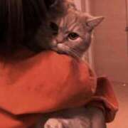 ヒメ日記 2025/07/05 11:46 投稿 るる buzz-B