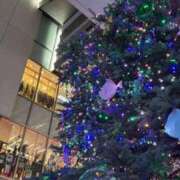 ヒメ日記 2024/12/15 13:47 投稿 れい buzz-B