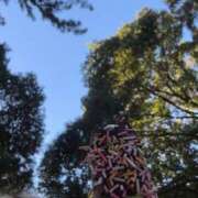 ヒメ日記 2025/01/01 18:49 投稿 れい buzz-B