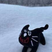 ヒメ日記 2025/01/19 12:23 投稿 れい buzz-B