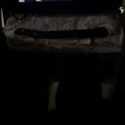 ヒメ日記 2025/02/04 21:42 投稿 れい buzz-B