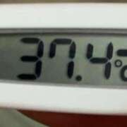 ヒメ日記 2025/04/21 15:56 投稿 れい buzz-B