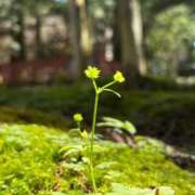 ヒメ日記 2025/09/02 12:44 投稿 れい buzz-B