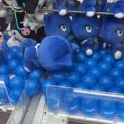 ヒメ日記 2025/10/21 14:28 投稿 れい buzz-B