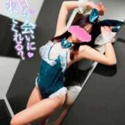 ヒメ日記 2025/03/05 09:55 投稿 ゆきな 奥様はエンジェル　相模原店