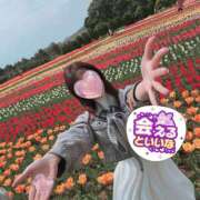 ヒメ日記 2025/04/12 09:14 投稿 ゆきな 奥様はエンジェル　相模原店