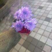 ヒメ日記 2025/04/24 14:04 投稿 なの デザインプリズム新宿