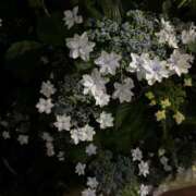 ヒメ日記 2025/06/21 23:39 投稿 なの デザインプリズム新宿