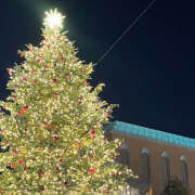 ヒメ日記 2024/12/14 20:53 投稿 ここ しゃぼんくらぶ一番館