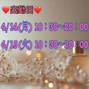 ヒメ日記 2025/04/11 15:01 投稿 りおん 甲府人妻城