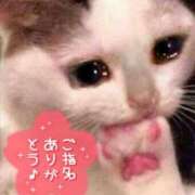 ヒメ日記 2025/06/01 16:01 投稿 りおん 甲府人妻城