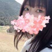 ヒメ日記 2025/03/28 19:12 投稿 つくし 横浜人妻セレブリティ（ユメオト）