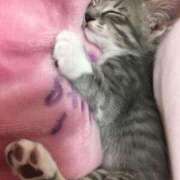 ヒメ日記 2025/07/19 12:08 投稿 みかん ハッピーブリッジ