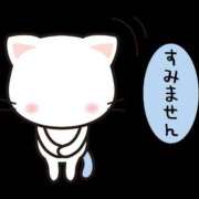 ヒメ日記 2025/10/16 13:47 投稿 みかん ハッピーブリッジ