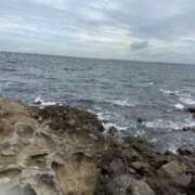 ヒメ日記 2026/02/01 12:57 投稿 みかん ハッピーブリッジ