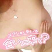 ヒメ日記 2025/02/04 10:03 投稿 やね Charme（シャルム）