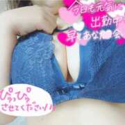 ヒメ日記 2024/12/12 11:14 投稿 さゆき 多恋人倶楽部（山口）