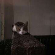 ヒメ日記 2025/01/27 18:58 投稿 うた 熟女総本店 堺東店