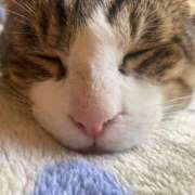 ヒメ日記 2025/02/03 23:46 投稿 うた 熟女総本店 堺東店