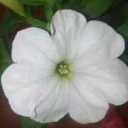 ヒメ日記 2025/04/03 18:37 投稿 うた 熟女総本店 堺東店