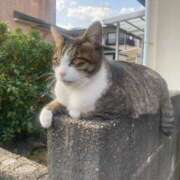 ヒメ日記 2025/04/05 17:24 投稿 うた 熟女総本店 堺東店