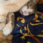 ヒメ日記 2025/04/08 23:17 投稿 うた 熟女総本店 堺東店