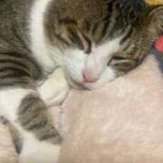 ヒメ日記 2025/05/24 04:23 投稿 うた 熟女総本店 堺東店