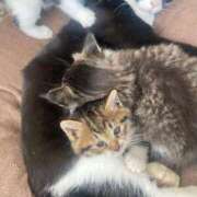 ヒメ日記 2025/06/06 13:56 投稿 うた 熟女総本店 堺東店