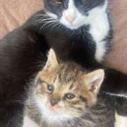 ヒメ日記 2025/06/13 19:18 投稿 うた 熟女総本店 堺東店