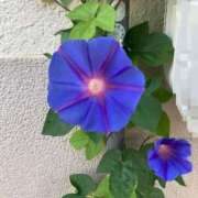 ヒメ日記 2025/06/29 07:56 投稿 うた 熟女総本店 堺東店