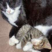 ヒメ日記 2025/06/30 02:58 投稿 うた 熟女総本店 堺東店