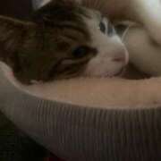 ヒメ日記 2025/07/09 02:59 投稿 うた 熟女総本店 堺東店