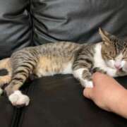 ヒメ日記 2025/07/13 05:38 投稿 うた 熟女総本店 堺東店