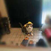 ヒメ日記 2025/08/15 16:52 投稿 うた 熟女総本店 堺東店