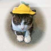 ヒメ日記 2025/08/17 19:09 投稿 うた 熟女総本店 堺東店