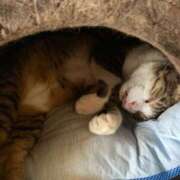 ヒメ日記 2025/08/18 17:53 投稿 うた 熟女総本店 堺東店