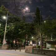 ヒメ日記 2025/09/09 00:02 投稿 うた 熟女総本店 堺東店