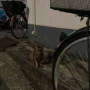 ヒメ日記 2025/09/29 03:23 投稿 うた 熟女総本店 堺東店