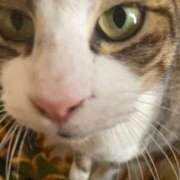 ヒメ日記 2025/09/29 10:52 投稿 うた 熟女総本店 堺東店