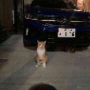 ヒメ日記 2025/09/29 23:32 投稿 うた 熟女総本店 堺東店