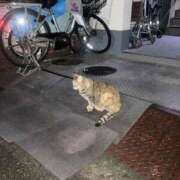 ヒメ日記 2025/10/05 05:13 投稿 うた 熟女総本店 堺東店