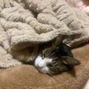 ヒメ日記 2025/11/05 05:50 投稿 うた 熟女総本店 堺東店