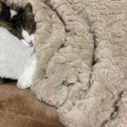 ヒメ日記 2025/11/07 18:53 投稿 うた 熟女総本店 堺東店