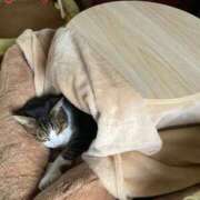 ヒメ日記 2025/12/02 17:27 投稿 うた 熟女総本店 堺東店