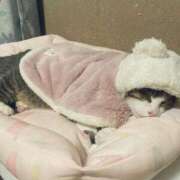 うた ふと　こころに想うこと、、、 熟女総本店 堺東店