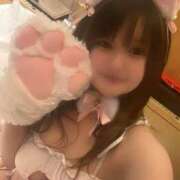 ヒメ日記 2025/02/22 15:27 投稿 みほの 黒い金魚（札幌）