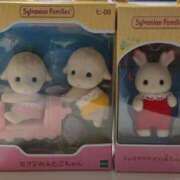 ヒメ日記 2025/09/25 15:01 投稿 みほの 黒い金魚（札幌）