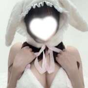 ヒメ日記 2025/09/27 19:20 投稿 みほの 黒い金魚（札幌）