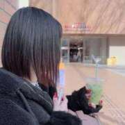 ヒメ日記 2025/10/18 14:30 投稿 みほの 黒い金魚（札幌）